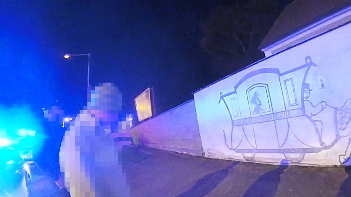 Samozvaný malíř doladil kresbu na budově budějovického muzea. Drnem a úplně střízlivý