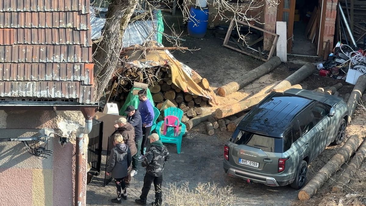 Pokuty k nápravě nevedly. Nelegálně chované lvice u sídliště v Rokycanech nakonec zabavili úředníci