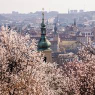 Pod svahem je kostel Panny Marie Vítězné a svatého Antonína Paduánského, takže můžete navštívit i Pražské Jezulátko. 