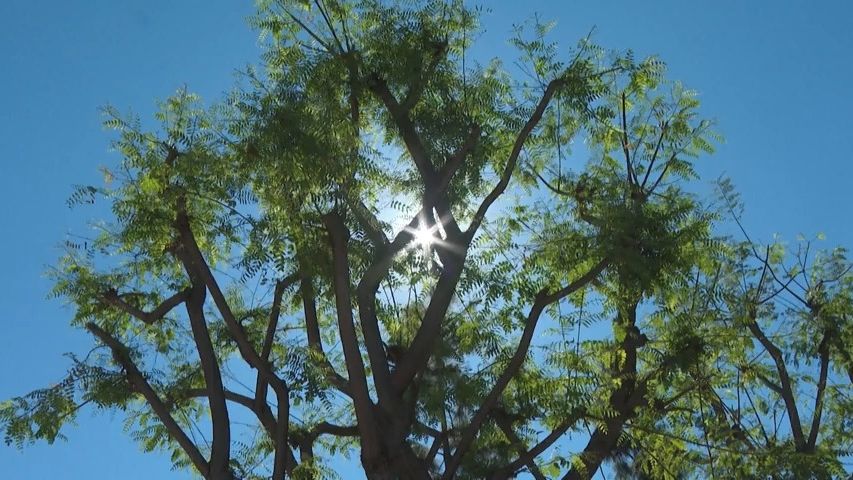 Rekordní vlna veder v USA, teploty stoupají nad 40 °C