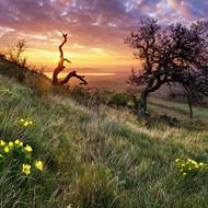 Pálava a hra světla