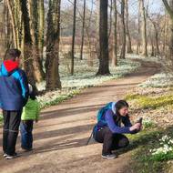 Zámecký park v Kostelci je přírodní rezervací.