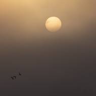 Východ slunce nad Třeboňskými rybníky. 