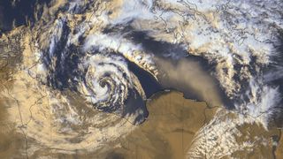 Středomořím putuje vzácný medikán