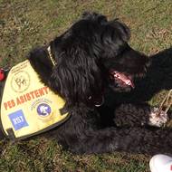 Amanda je součástí každodenního režimu, chodí s Lucií i do práce.