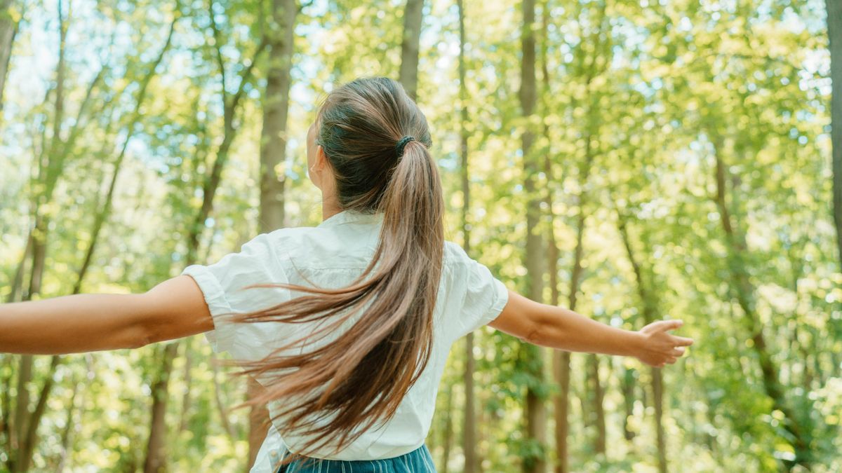Špatných zpráv už mají dost. Američané utíkají před politikou do lesů