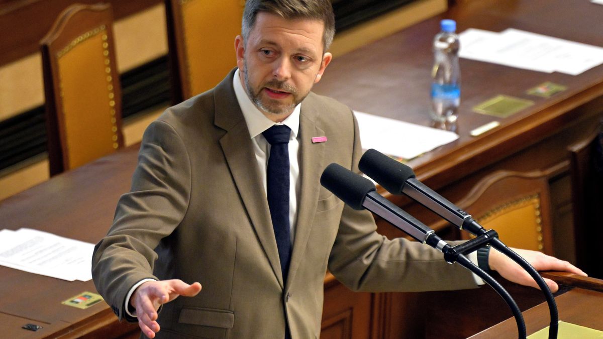 Rakušana do vedení Sněmovny vládní strany nepustí