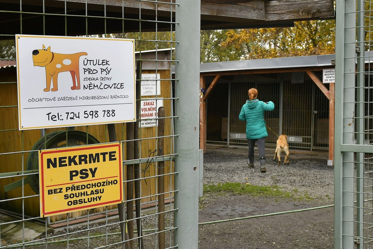 Za pokousané dítě při venčení psů z útulku na Rokycansku padla obvinění