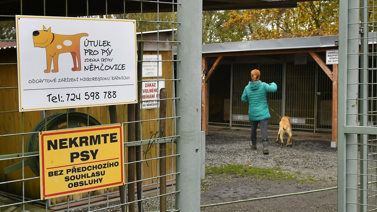 Za pokousané dítě při venčení psů z útulku na Rokycansku padla obvinění