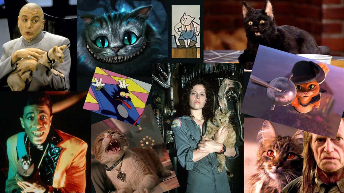 KVÍZ: Jak dobře znáte kočky z filmů a seriálů?