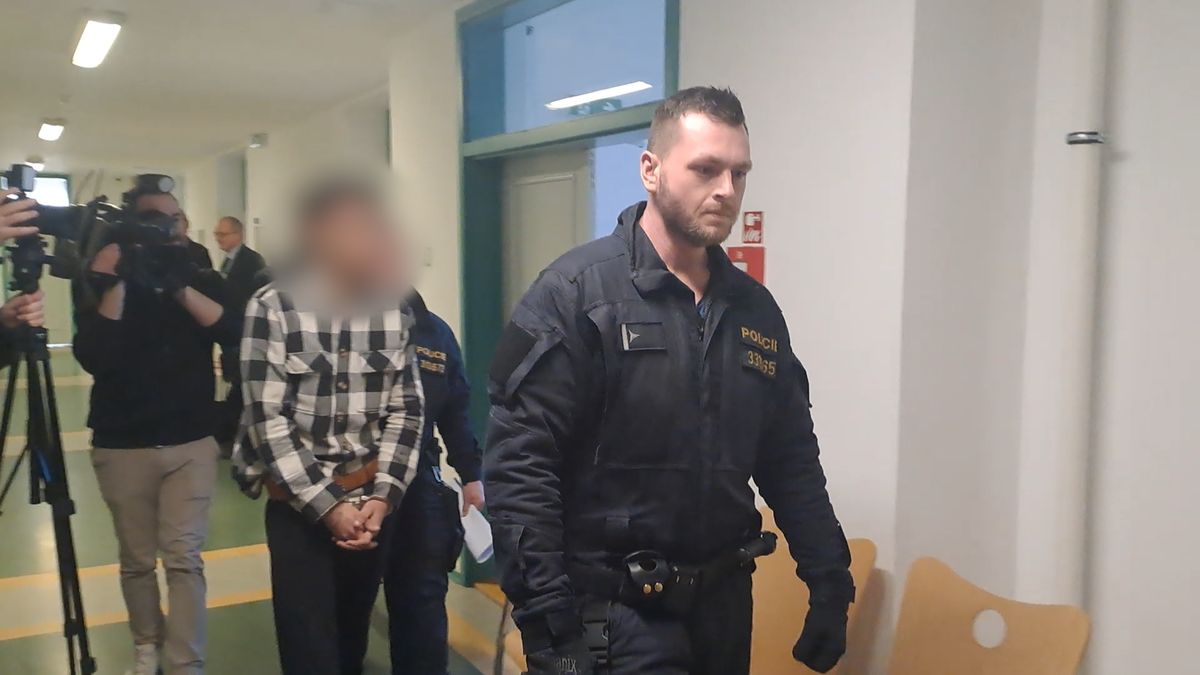 Soud poslal obviněného z vraždy dítěte na Lounsku do vazby