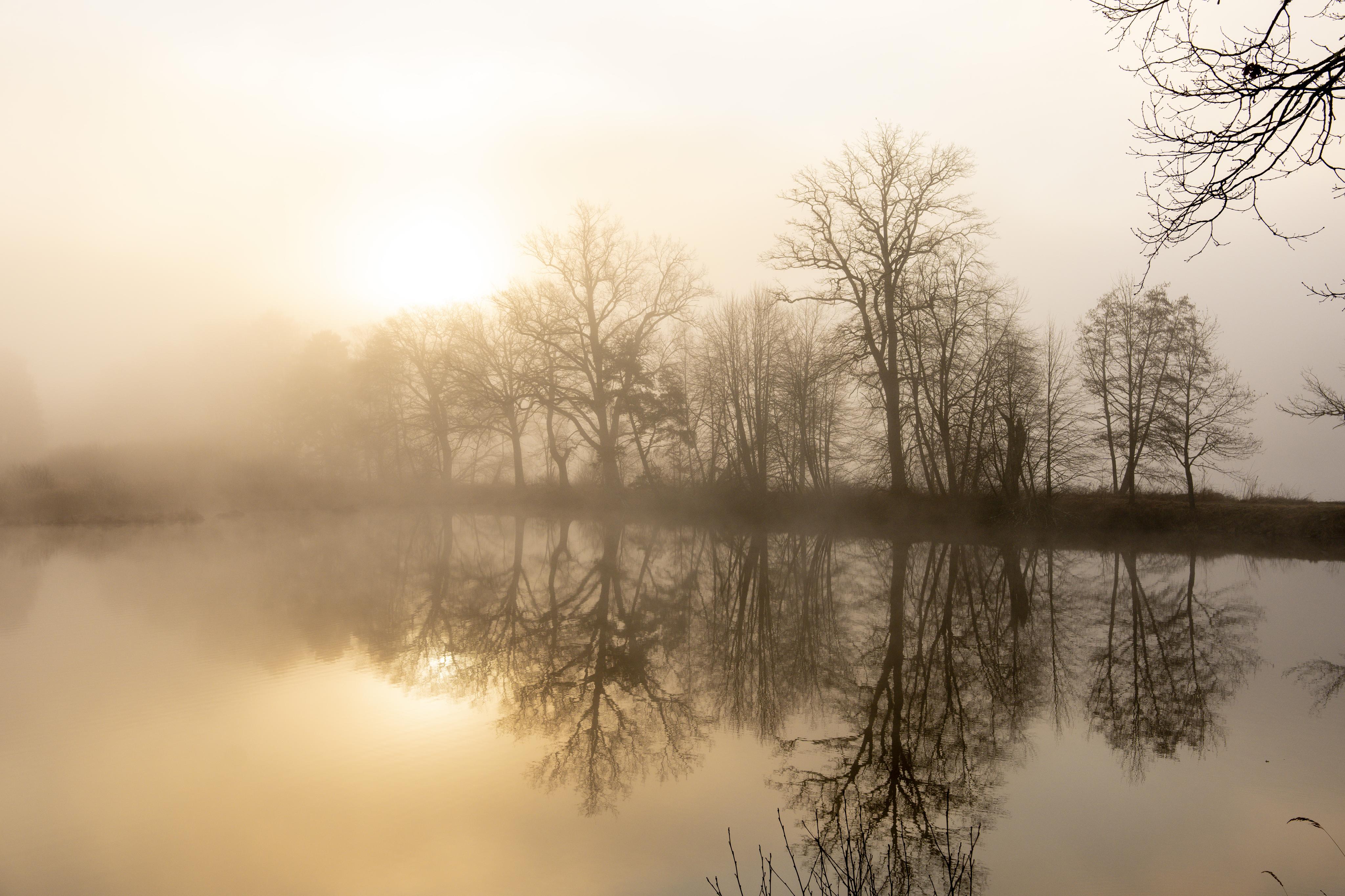 FOTO: Kouzelná mlha nad třeboňskými rybníky