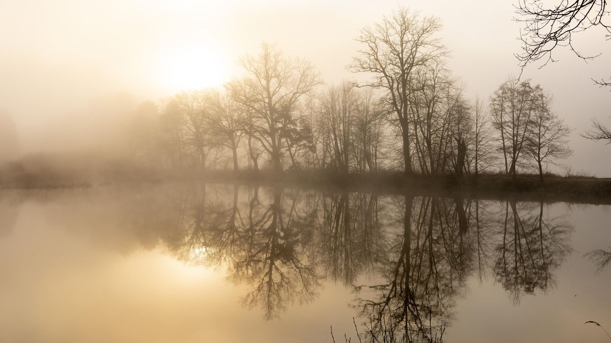 FOTO: Kouzelná mlha nad třeboňskými rybníky