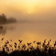 Třeboňská „krajina dvojího nebe“. Obloha se odráží na hladinách rybníků, i když je zamlžená. 
