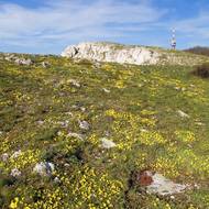 Pálava je plná výhledů do okolní krajiny.