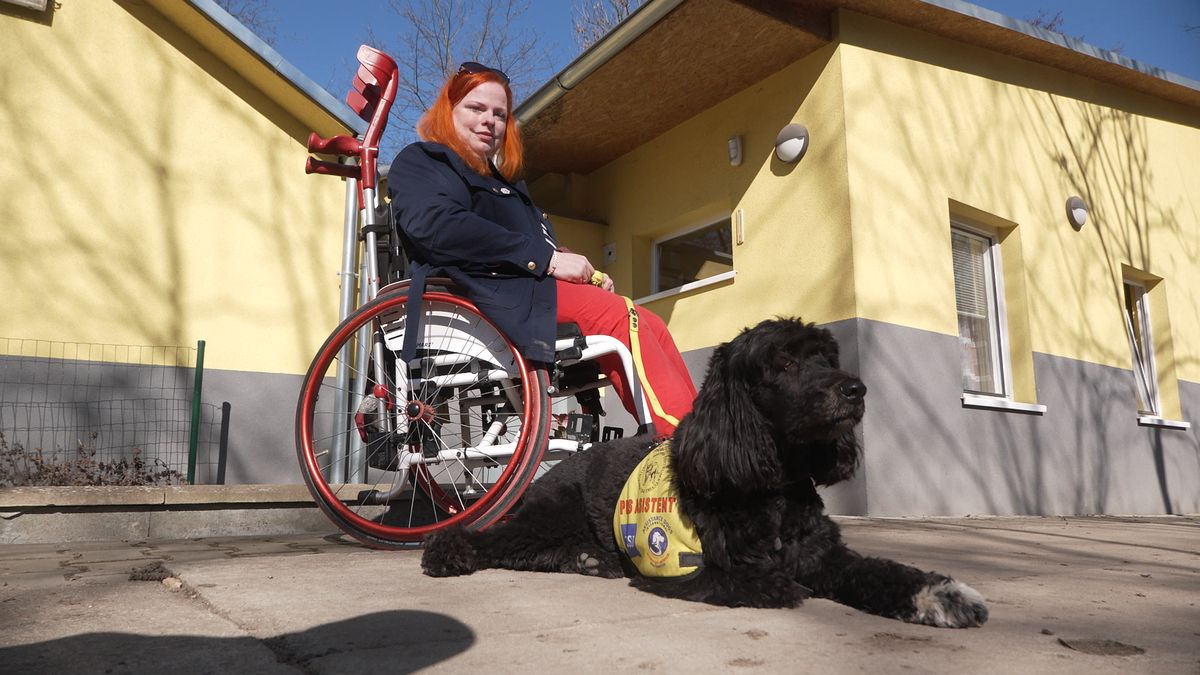 Asistenční pes jako pomocník i parťák. Bez Amandy by Lucie řadu základních věcí zvládala jen těžko