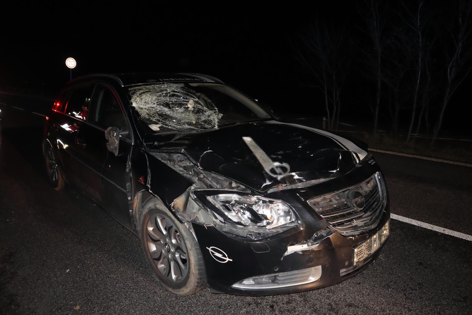Ani divočák, ani srna. Řidiči na Českolipsku vběhla před auto kráva