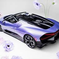 Nejspíš každý z 99 kusů podstoupí individualizační kúru.