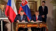 Tisková konference po společném jednání vlád Česka a Slovenska