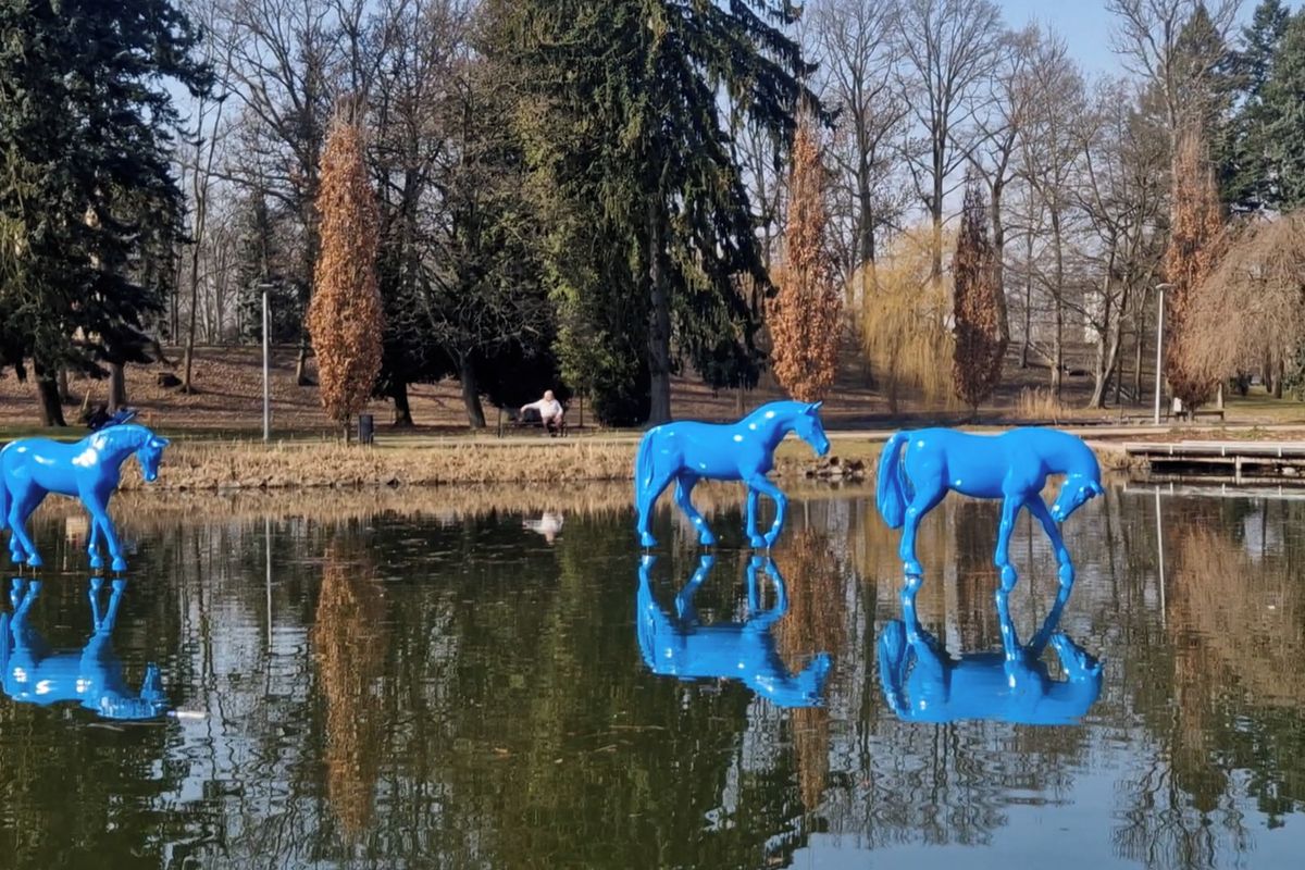 Modří koně se pasou na hladině jezírka v parku v Hradci Králové