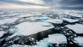 Arktický mořský led dosáhl historicky nejnižšího maxima