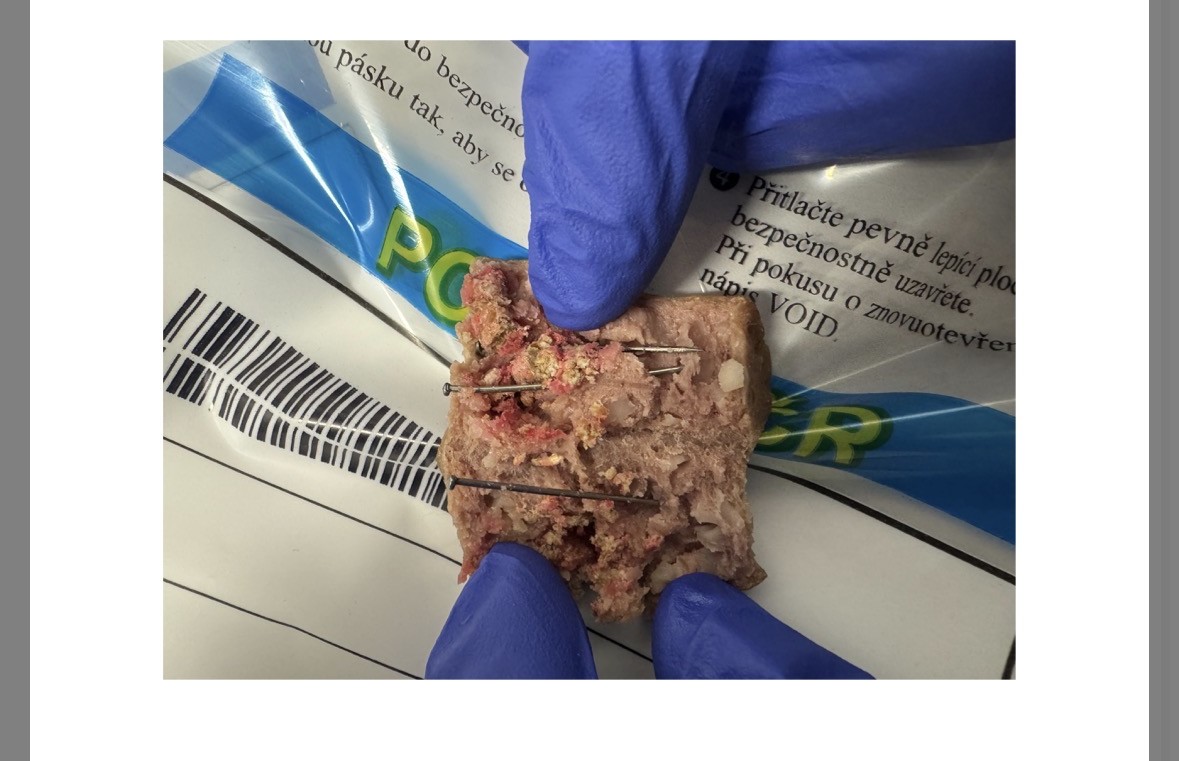 V Písku někdo rozházel párky propíchané hřebíky. Pes bojoval o život