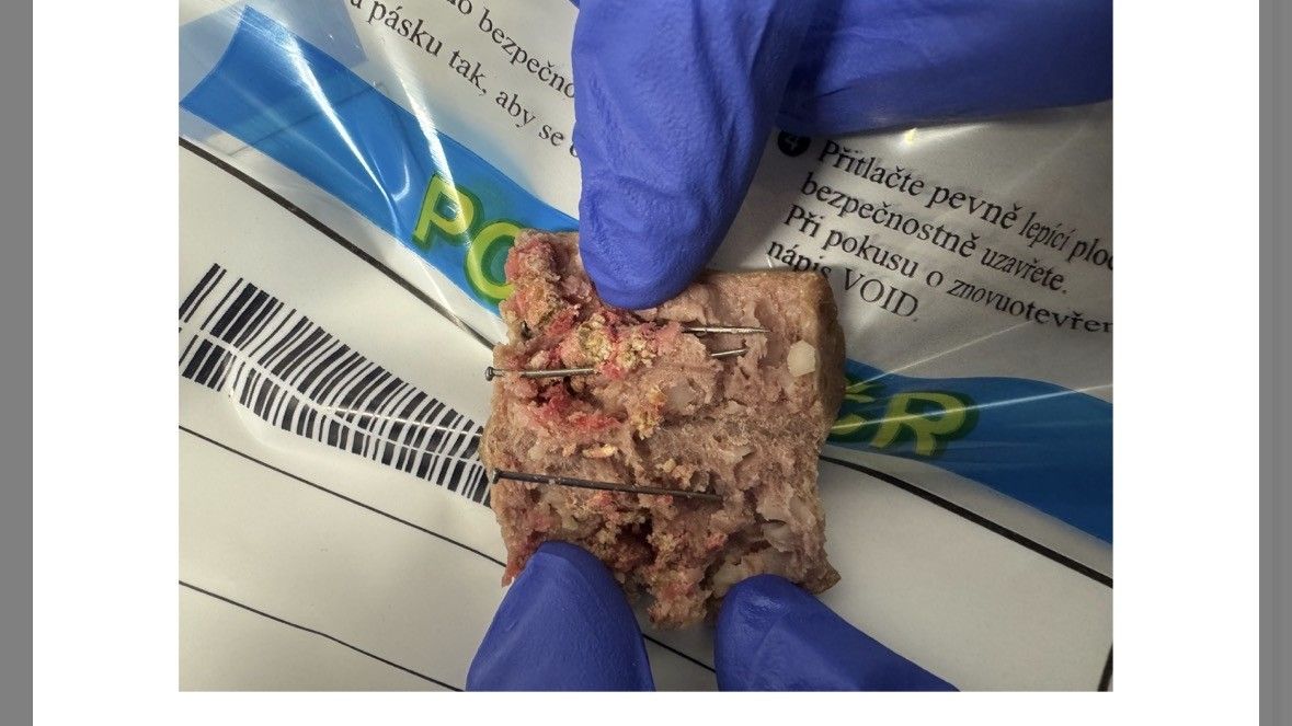 V Písku někdo rozházel párky propíchané hřebíky. Pes bojoval o život