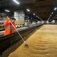 Story ze sladovny…