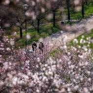 Dnes je tu sad protkaný uličkami a pěšinami. Ideální na jarní procházku…