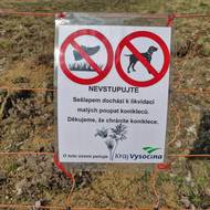 Přírodní památku Kobylinec u Trnavy na Třebíčsku od letošní sezony chrání před nájezdy turistů dočasné oplocení.