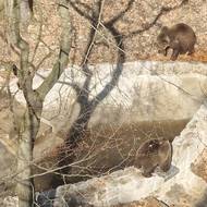 Krátce po příjezdu si oblíbili bazének s vodou.