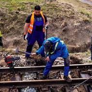 Na kolejích pracují jak dobrovolníci, tak odborné firmy.