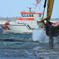 Záchranná akce měla mimořádnou pozornost. Zpravodajské servery zpracovávaly online přenosy. Sledovaly každý metr, o který se povedlo dostat keporkaka dál od břehu.