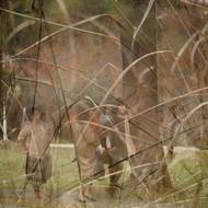 Výsledkem jsou „koláže“. Vidět je nyní můžete v pražské galerii DOX.