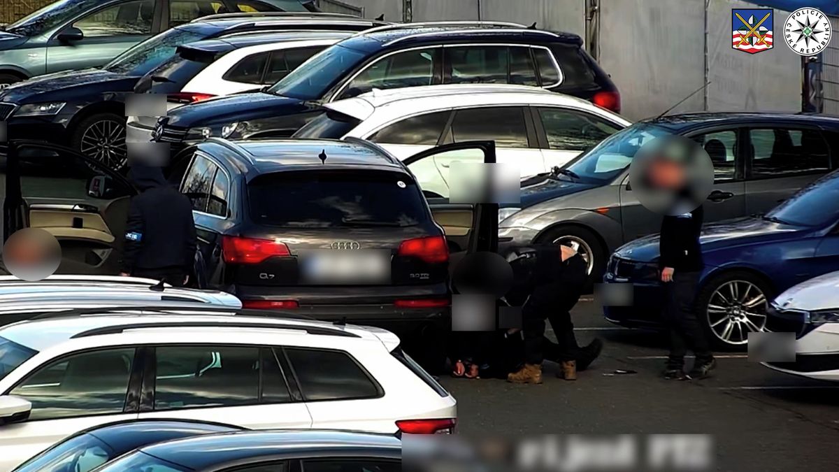 Pes vyčmuchal v autě přes 200 gramů pervitinu. Zásah proti dealerovi z Varů zachytily kamery