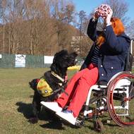 Při pravidelných procházkách je prostor i na hru, což vztah Lucie a Amandy dál posiluje.