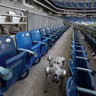 Robotičtí psi mají pomáhat s hlídáním bezpečnosti na blížícím se mistrovství světa ve fotbale. Nasazeni mají být minimálně na mexických stadionech.