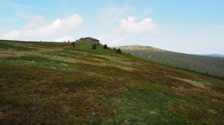 Horské ekosystémy se kvůli oteplování mění pětkrát rychleji než lesy a louky
