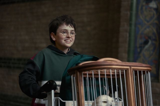 FOTO: Harry Potter, seznamte se s tvářemi nového seriálu