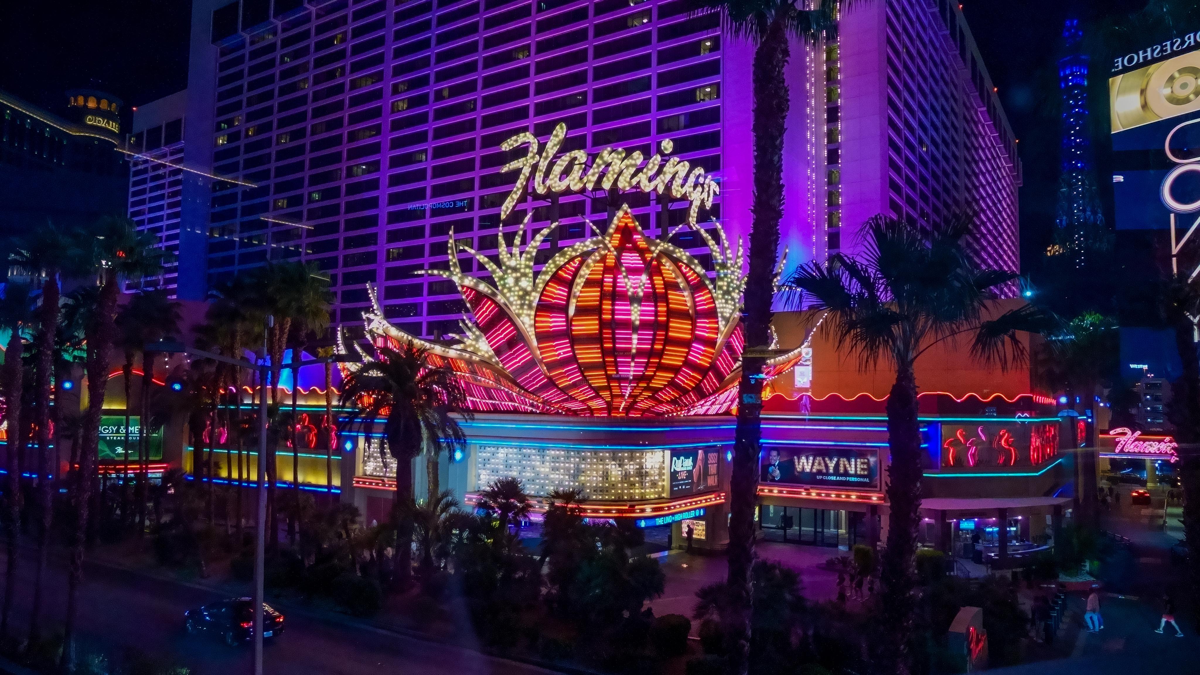 Khách du lịch khỏa thân ở Las Vegas bắt cóc một con chim hồng hạc và sau đó hành hạ nó trong phòng khách sạn