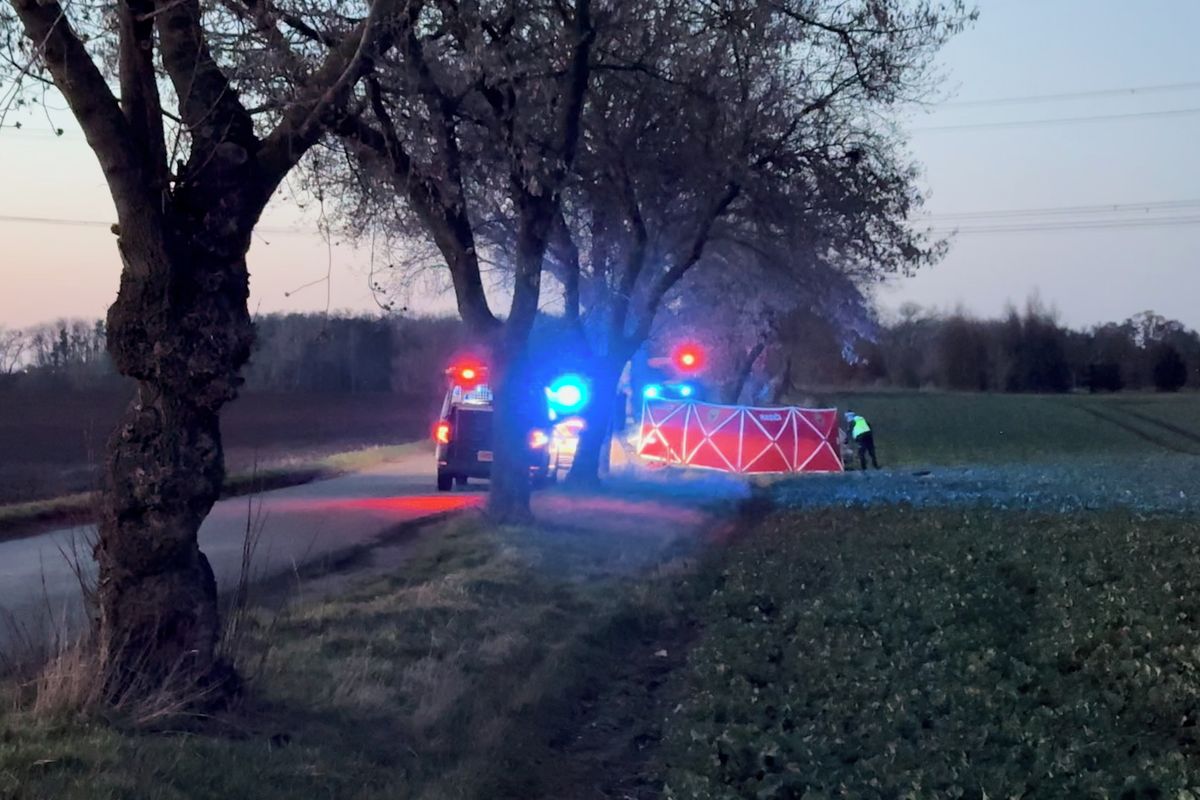 Řidič u Prahy narazil do stromu, na místě zemřel