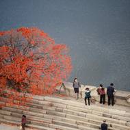 V rámci fotografování si vyvinul svou techniku.