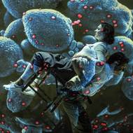 Inscenace Doktorka z domu Trubačů vypráví o lékařce Vlastě Kálalové di Lotti, která před sto lety zkoumala exotické choroby.