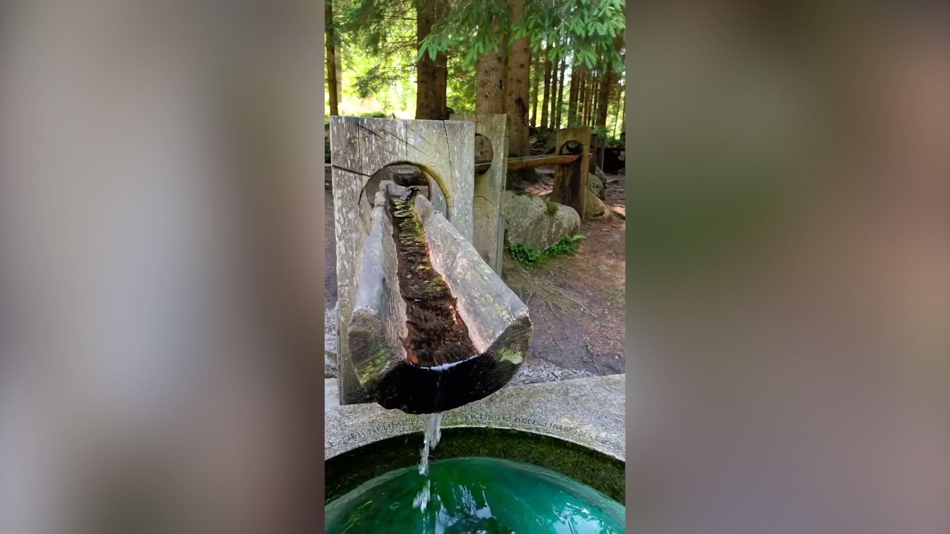 Na Šumavě jsou i malé Lurdy. Video s pramenem sledují na internetu desítky tisíc lidí