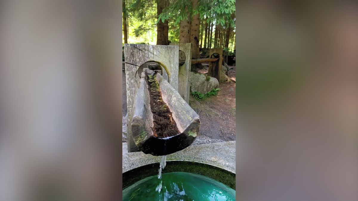 Na Šumavě jsou i malé Lurdy. Video s pramenem sledují na internetu desítky tisíc lidí