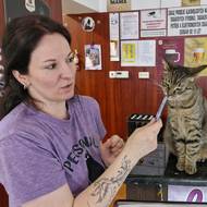 Lucie Plíhalová si po pěti měsících od výbuchu otevřela kočičí kavárnu na jiném místě, i po roce od události čeká na závěry vyšetřování.