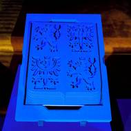 Ústava je provedena jako státní znak. Symbolicky má Ústavu do něj vloženou bránit. 