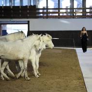 Přehlídka Stelly McCartneyové ukázala, že móda může zvířata oslavovat, spíše než je konzumovat.