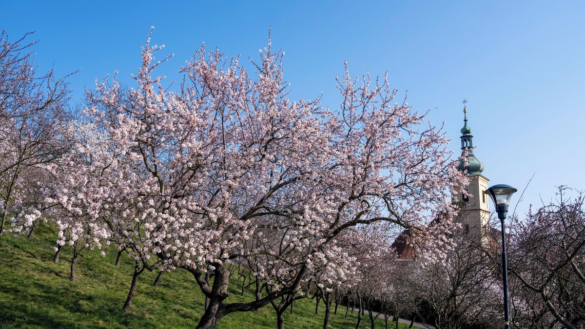 Velikonoce budou teplé, ale může zapršet