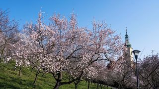 Velikonoce budou teplé, ale může zapršet